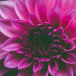 The Search Engine Optimization Company in Portland You Can Trust
